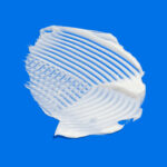 rich cream with ceramides